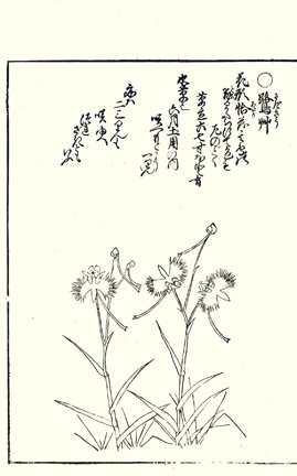 photo22.jpg
