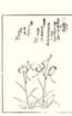photo22_small.jpg