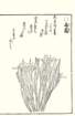 photo23_small.jpg