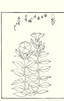 photo24.jpg