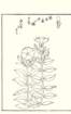 photo24_small.jpg