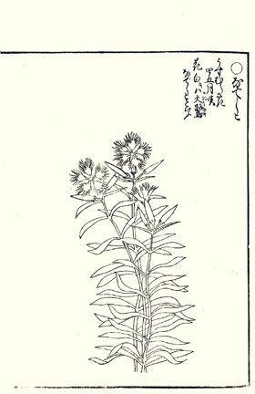 photo25.jpg