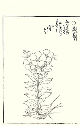 photo26.jpg