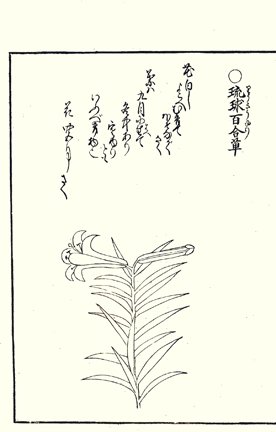 photo28.jpg