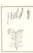 photo28_small.jpg