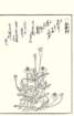 photo29_small.jpg