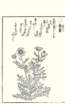 photo2_small.jpg
