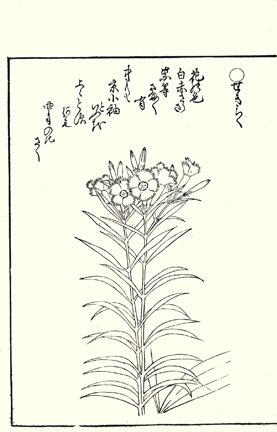photo30.jpg