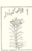 photo30_small.jpg