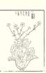 photo31_small.jpg