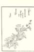 photo32_small.jpg