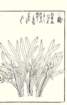 photo35_small.jpg