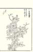 photo37_small.jpg