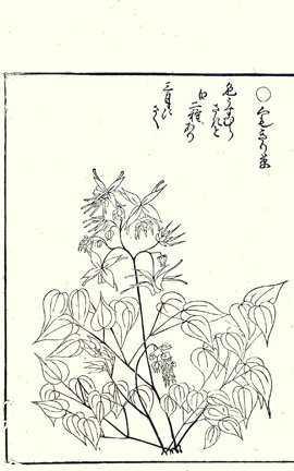photo38.jpg