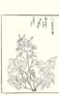 photo38_small.jpg