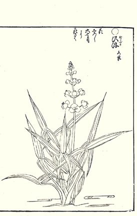 photo41.jpg