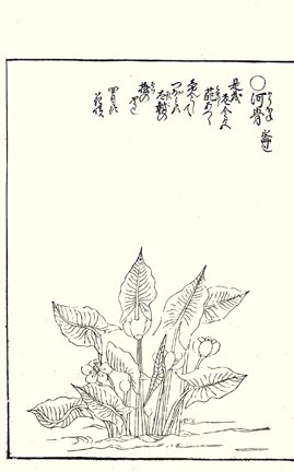 photo42.jpg