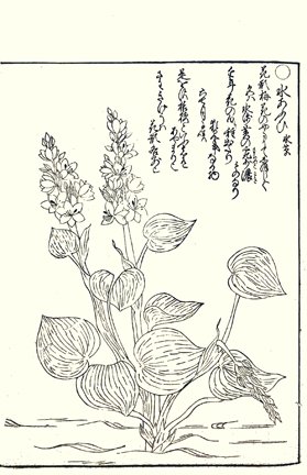 photo43.jpg