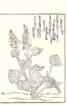 photo43_small.jpg