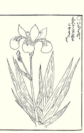 photo45.jpg