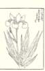 photo45_small.jpg