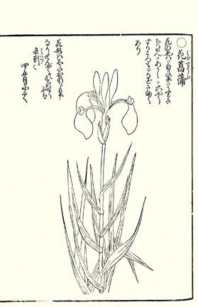 photo47.jpg