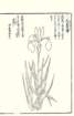 photo47_small.jpg
