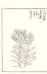 photo50_small.jpg