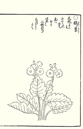 photo51.jpg