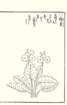photo51_small.jpg