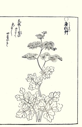photo53.jpg