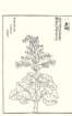 photo54_small.jpg