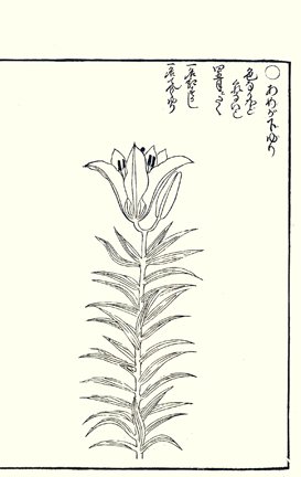 photo55.jpg