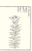 photo55_small.jpg