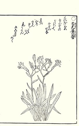 photo57.jpg