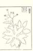 photo59_small.jpg