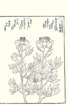photo5_small.jpg