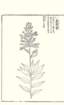 photo60_small.jpg