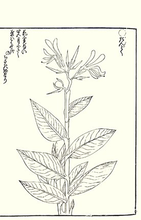 photo63.jpg