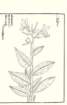 photo63_small.jpg