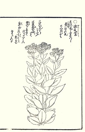 photo65.jpg
