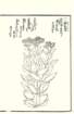 photo65_small.jpg