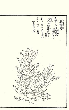 photo69.jpg