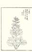 photo70_small.jpg