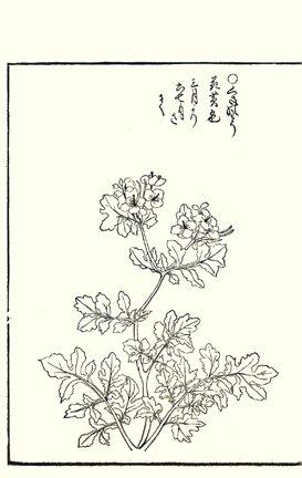 photo72.jpg