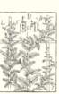 photo73_small.jpg