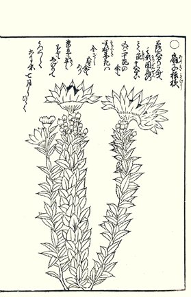 photo75.jpg