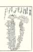 photo75_small.jpg