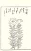 photo76_small.jpg