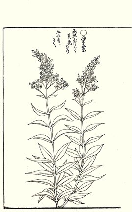 photo78.jpg